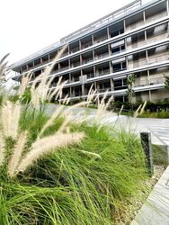Harbourfront Avenue (D4), Condominium #436462111